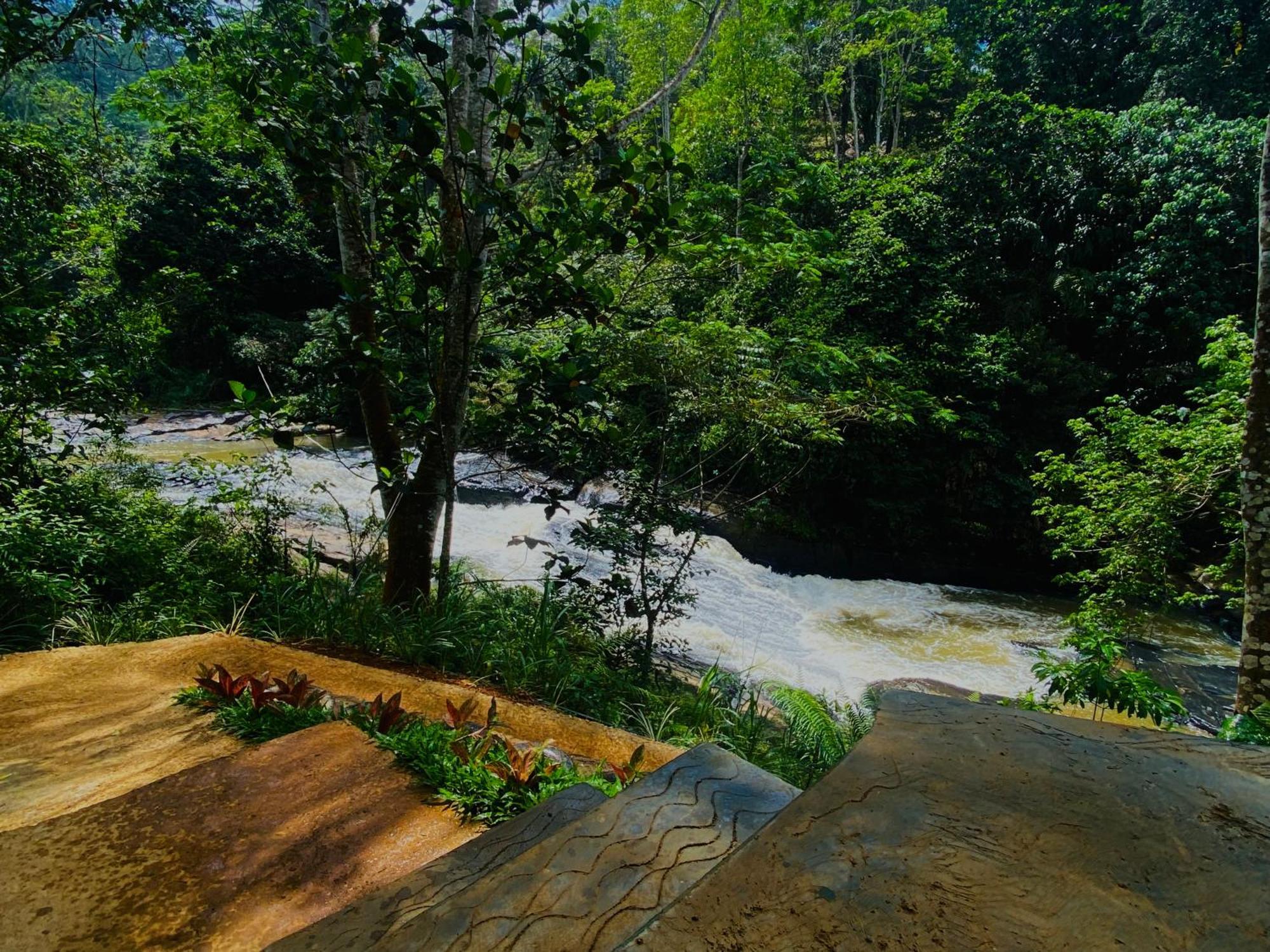 The Rainforest Hideaway Денияйя Экстерьер фото