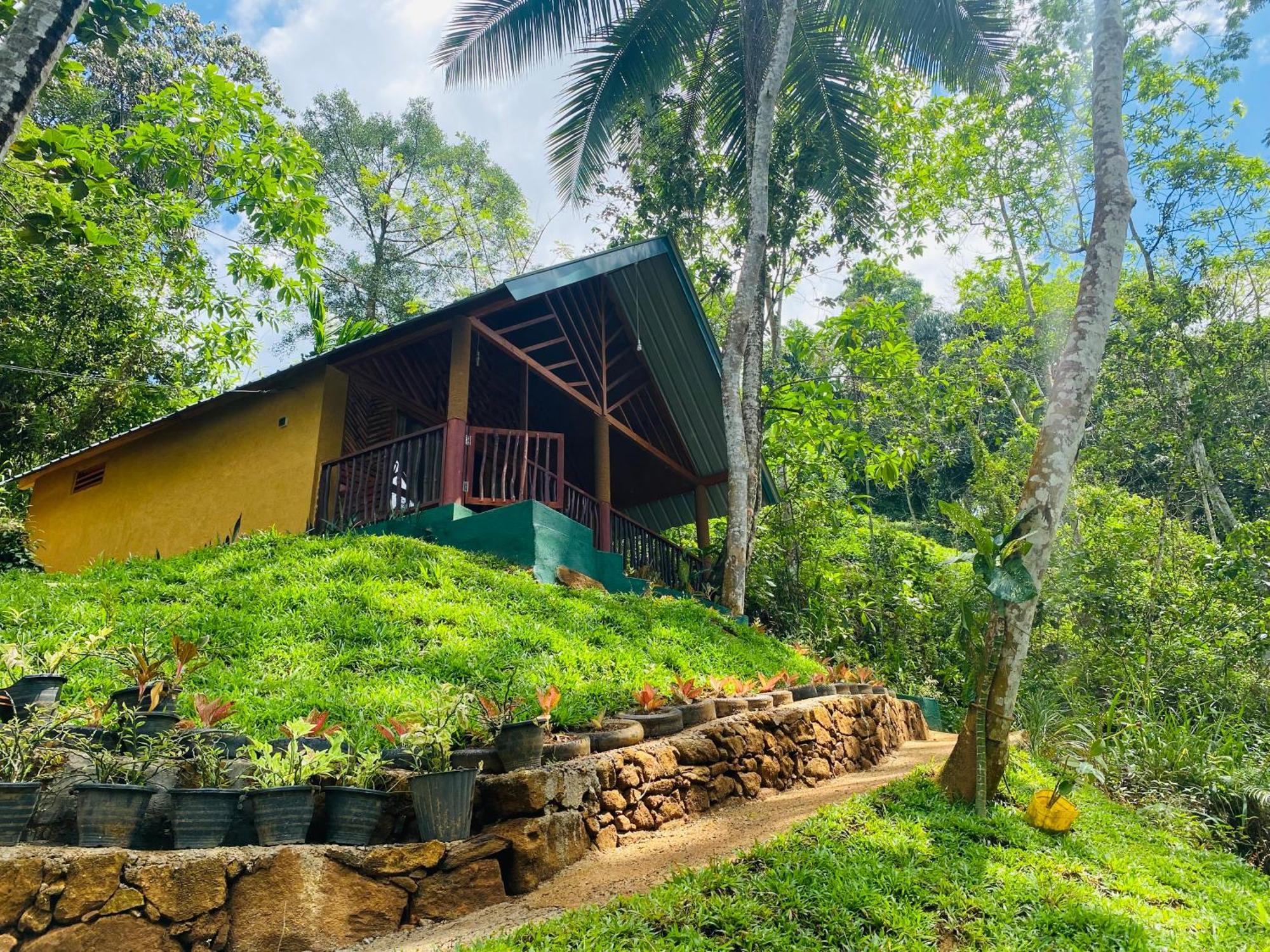 The Rainforest Hideaway Денияйя Экстерьер фото